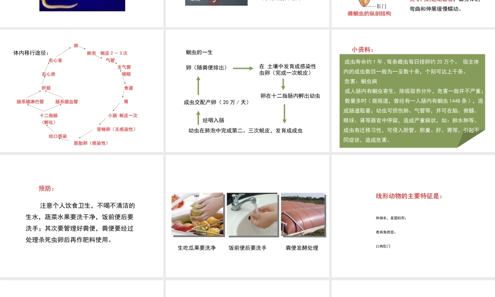 八年级生物上册 7.1.2《线形动物和环节动物》（第1课时）课件 鲁科版五四制-鲁科级上册生物课件