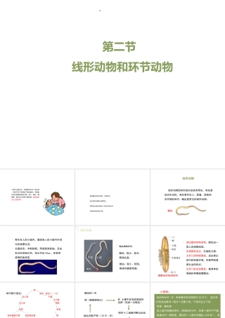 八年级生物上册 7.1.2《线形动物和环节动物》（第1课时）课件 鲁科版五四制-鲁科级上册生物课件