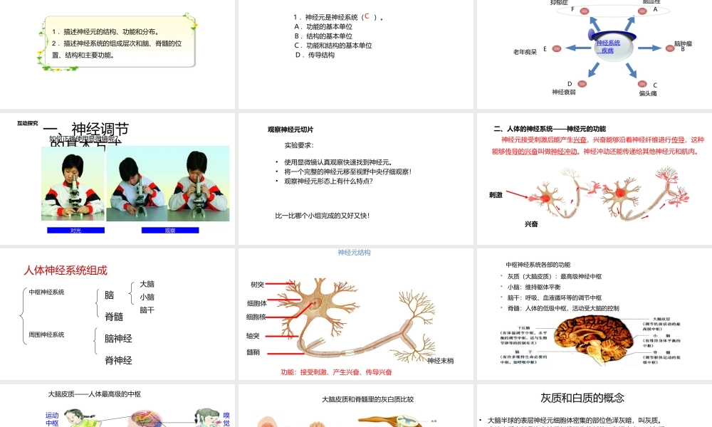 八年级生物上册 6.16.1人体的神经调节（第1课时）课件 （新版）苏科版-（新版）苏科级上册生物课件