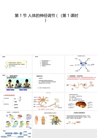 八年级生物上册 6.16.1人体的神经调节（第1课时）课件 （新版）苏科版-（新版）苏科级上册生物课件