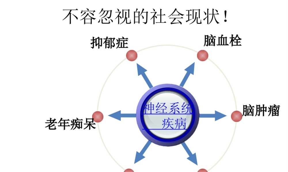 八年级生物上册 第15章 第1节 人体的神经调节课件 苏科版