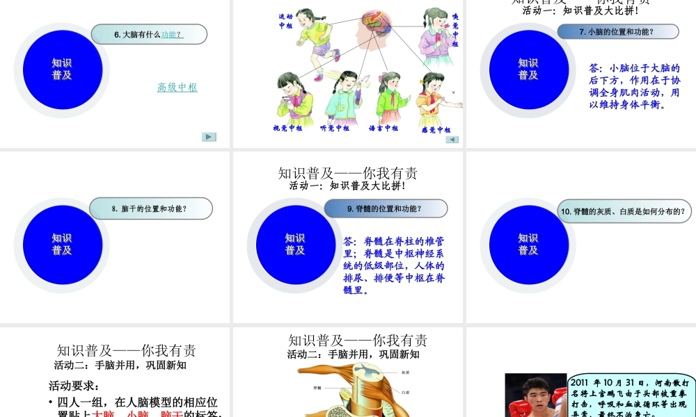 八年级生物上册 第15章 第1节 人体的神经调节课件 苏科版