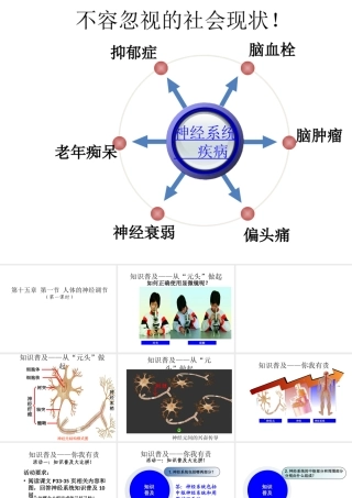 八年级生物上册 第15章 第1节 人体的神经调节课件 苏科版