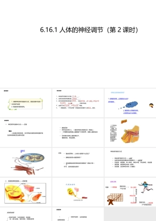 八年级生物上册 6.16.1人体的神经调节（第2课时）课件 （新版）苏科版-（新版）苏科版初中八年级上册生物课件