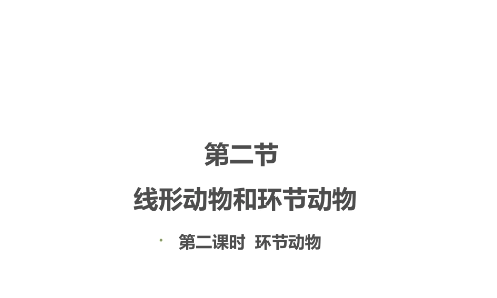 八年级生物上册 7.1.2线形动物和环节动物（第2课时）课件 鲁科版五四制-鲁科级上册生物课件