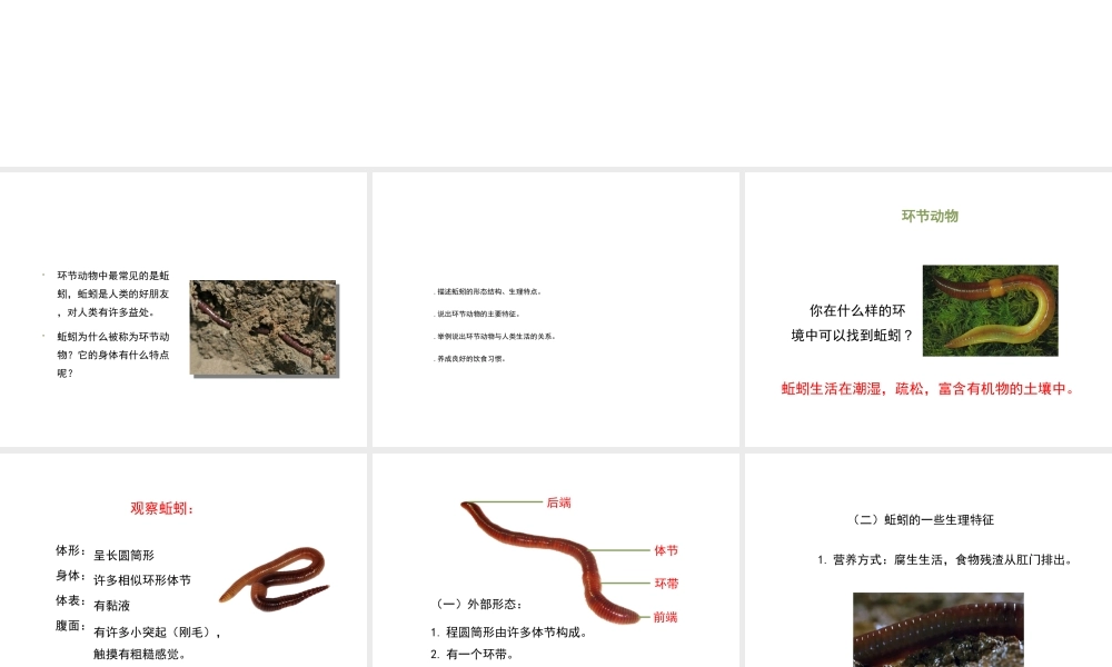 八年级生物上册 7.1.2线形动物和环节动物（第2课时）课件 鲁科版五四制-鲁科级上册生物课件