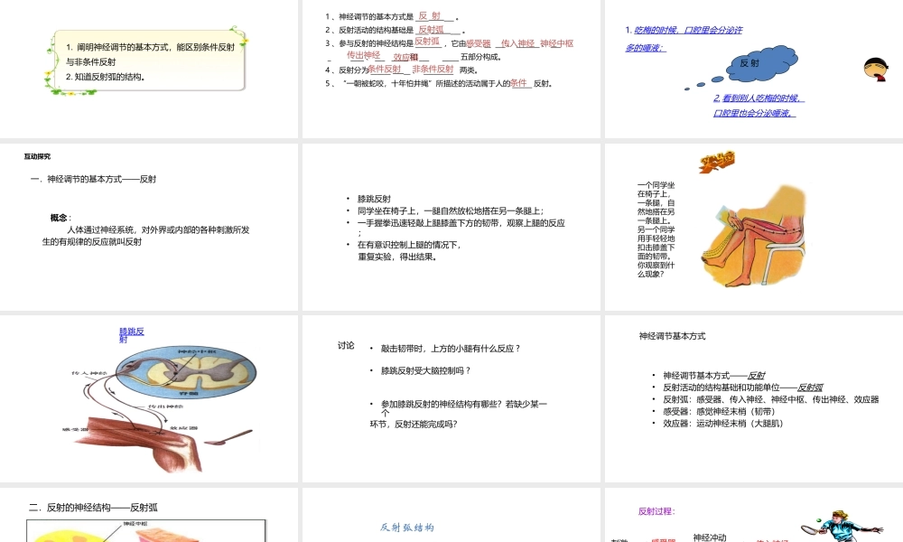 八年级生物上册 6.16.1人体的神经调节（第2课时）课件 （新版）苏科版-（新版）苏科级上册生物课件