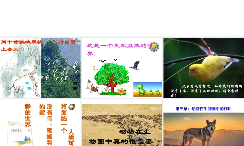 八年级生物上册 5.3《动物在生物圈中的作用》课件5 （新版）新人教版-（新版）新人教级上册生物课件