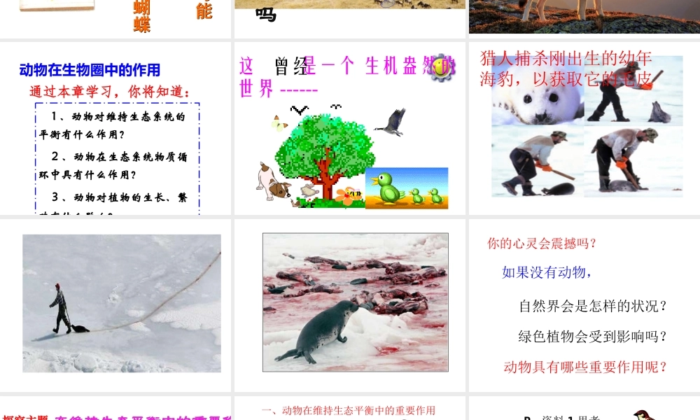 八年级生物上册 5.3《动物在生物圈中的作用》课件5 （新版）新人教版-（新版）新人教级上册生物课件
