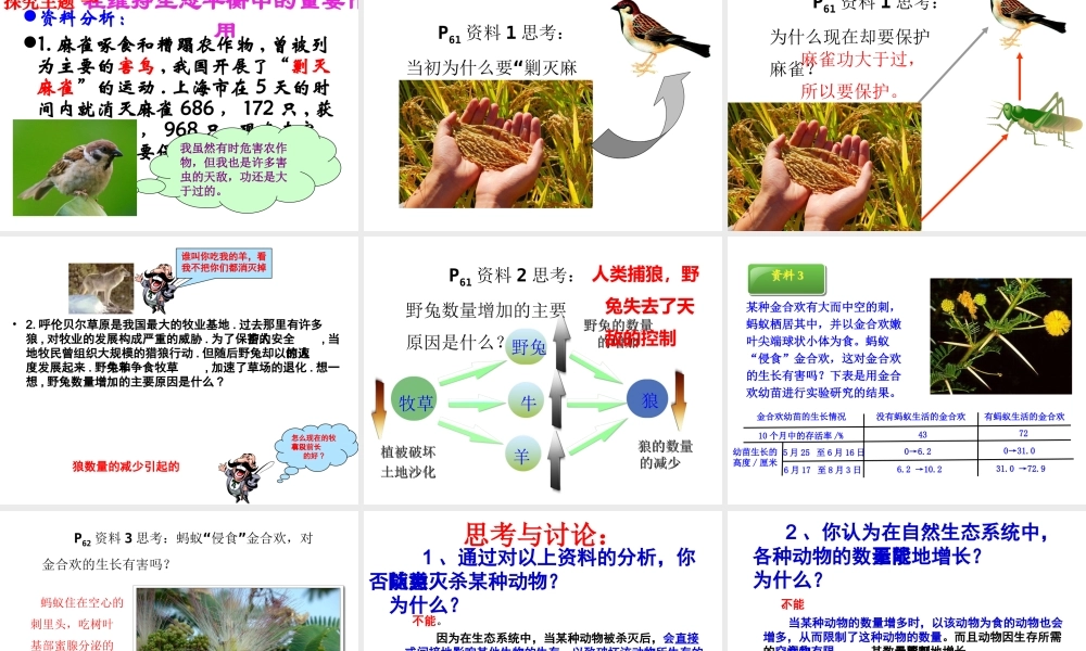 八年级生物上册 5.3《动物在生物圈中的作用》课件5 （新版）新人教版-（新版）新人教级上册生物课件