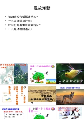 八年级生物上册 5.3《动物在生物圈中的作用》课件5 （新版）新人教版-（新版）新人教级上册生物课件