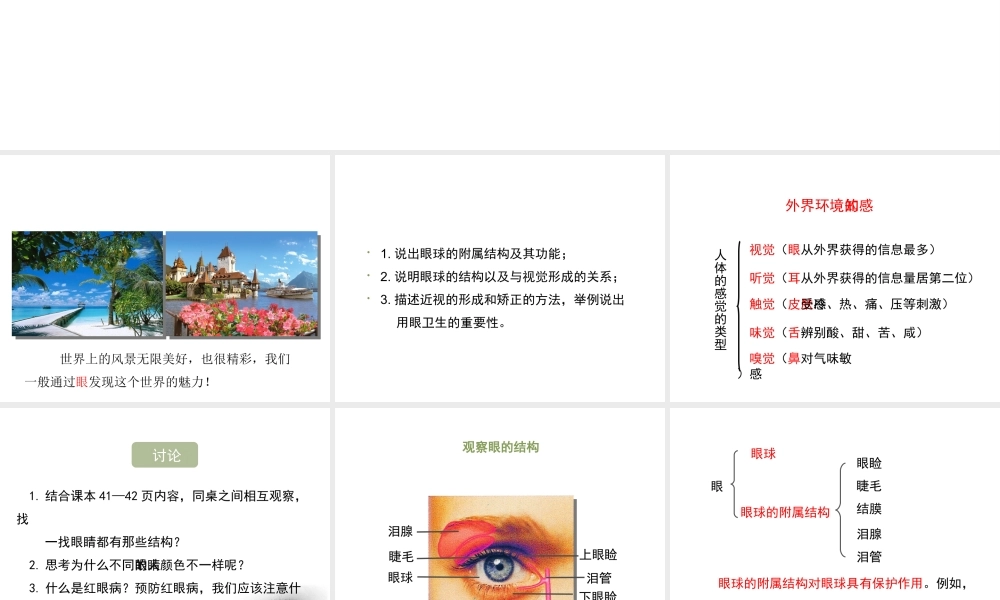 八年级生物上册 6.16.2《人体对信息的感知》第1课时课件1 （新版）苏科版-（新版）苏科版初中八年级上册生物课件