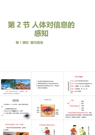 八年级生物上册 6.16.2《人体对信息的感知》第1课时课件1 （新版）苏科版-（新版）苏科版初中八年级上册生物课件