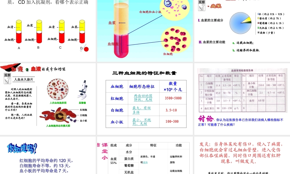 八年级生物上册 第15章 第1节 人体内物质的运输课件 苏科版-苏科级上册生物课件