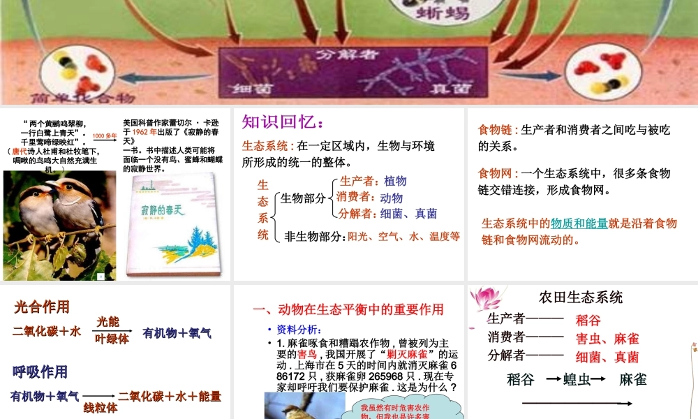 八年级生物上册 5.3动物在生物圈中的作用课件 （新版）新人教版-（新版）新人教版初中八年级上册生物课件