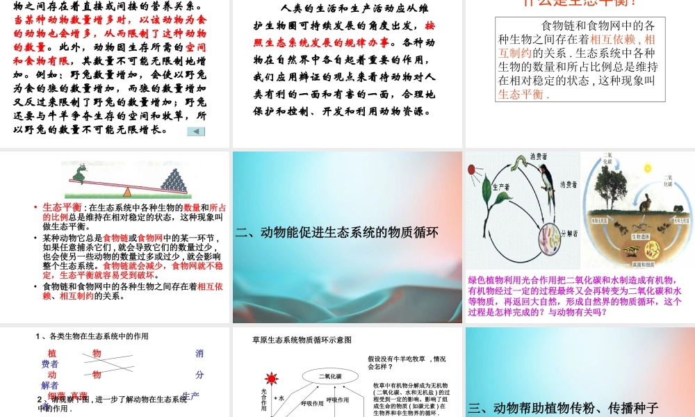 八年级生物上册 5.3动物在生物圈中的作用课件 （新版）新人教版-（新版）新人教版初中八年级上册生物课件