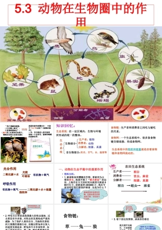 八年级生物上册 5.3动物在生物圈中的作用课件 （新版）新人教版-（新版）新人教版初中八年级上册生物课件