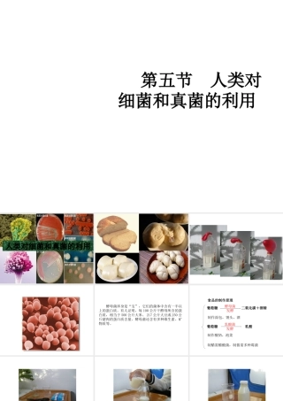 八年级生物上册 5.4.5 人类对细菌和真菌的利用教学课件 （新版）新人教版-（新版）新人教级上册生物课件