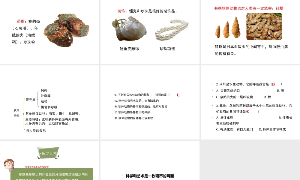 八年级生物上册 7.1.3《软体动物与节肢动物》（第1课时）课件 鲁科版五四制-鲁科级上册生物课件