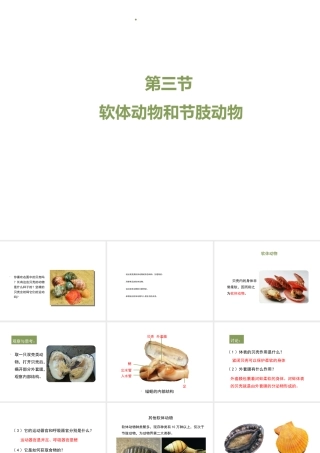 八年级生物上册 7.1.3《软体动物与节肢动物》（第1课时）课件 鲁科版五四制-鲁科级上册生物课件
