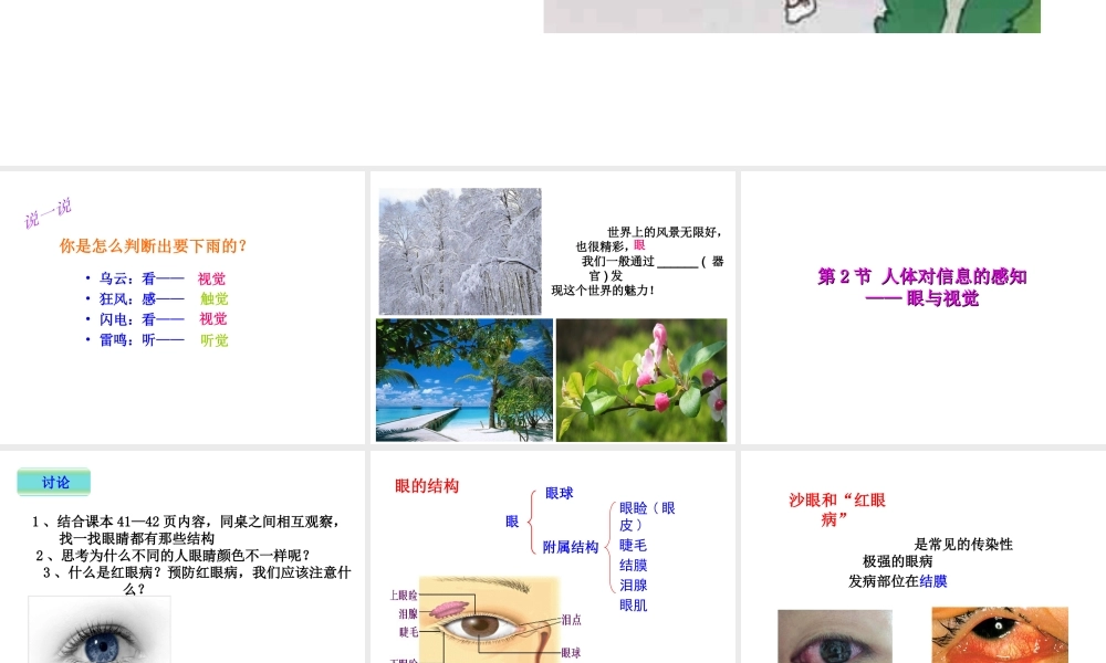 八年级生物上册 6.16.2《人体对信息的感知》第1课时课件2 （新版）苏科版-（新版）苏科版初中八年级上册生物课件