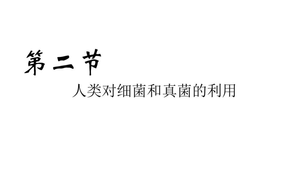 八年级生物上册 5.4.5 人类对细菌和真菌的利用课件 （新版）新人教版-（新版）新人教版初中八年级上册生物课件
