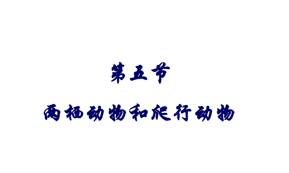 八年级生物上册 5.1.5《两栖动物和爬行动物》课件3 （新版）新人教版-（新版）新人教版初中八年级上册生物课件