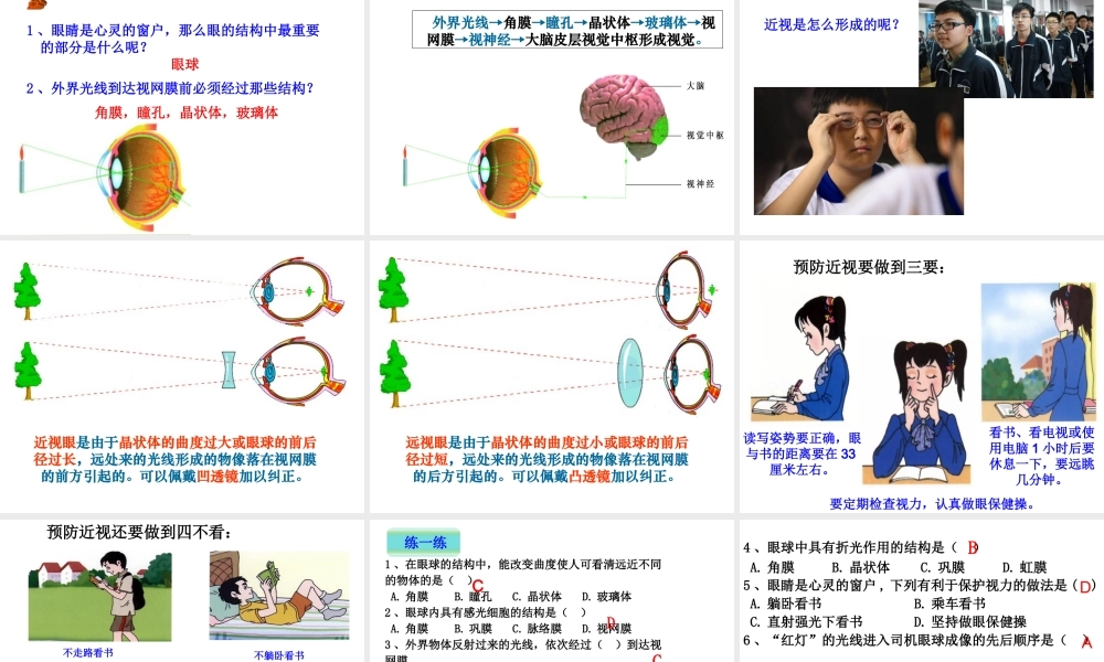 八年级生物上册 6.16.2《人体对信息的感知》第1课时课件2 （新版）苏科版-（新版）苏科级上册生物课件