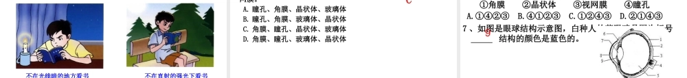 八年级生物上册 6.16.2《人体对信息的感知》第1课时课件2 （新版）苏科版-（新版）苏科级上册生物课件