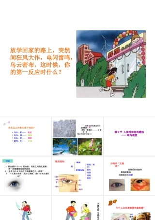 八年级生物上册 6.16.2《人体对信息的感知》第1课时课件2 （新版）苏科版-（新版）苏科级上册生物课件