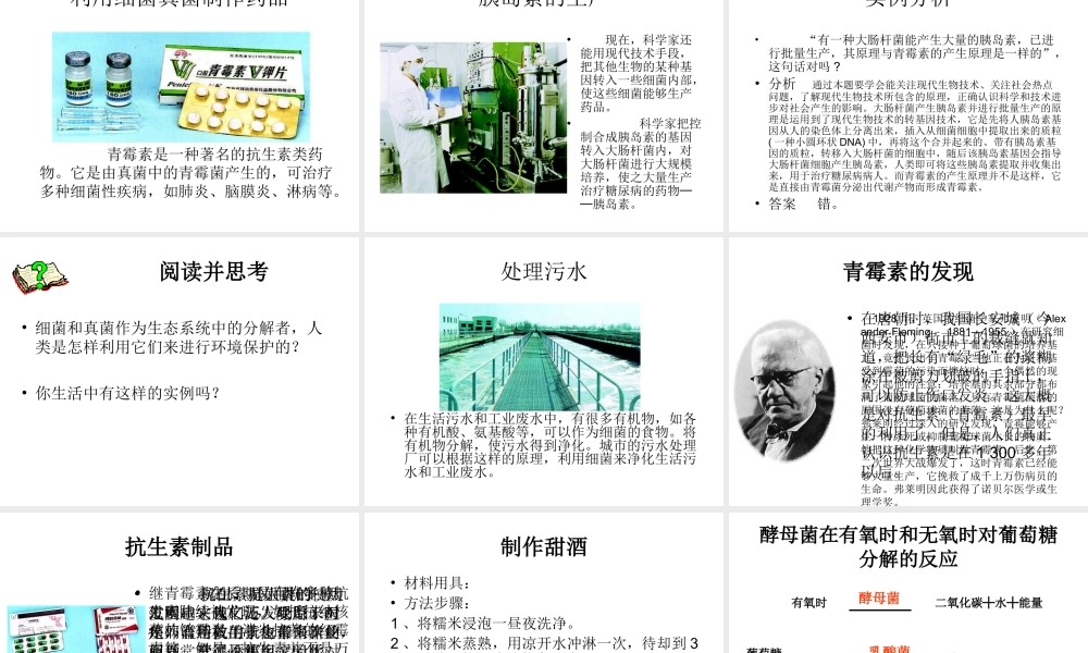 八年级生物上册 5.4.5 人类对细菌和真菌的利用课件 （新版）新人教版-（新版）新人教级上册生物课件