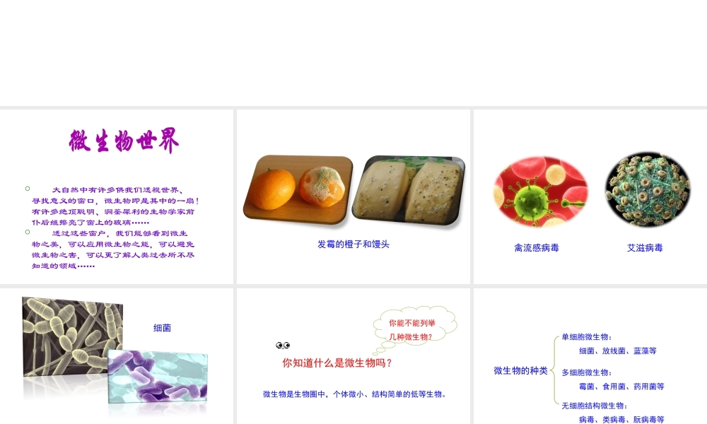 八年级生物上册 5.4 微生物在生物圈中的作用课件 （新版）冀教版-（新版）冀教版初中八年级上册生物课件