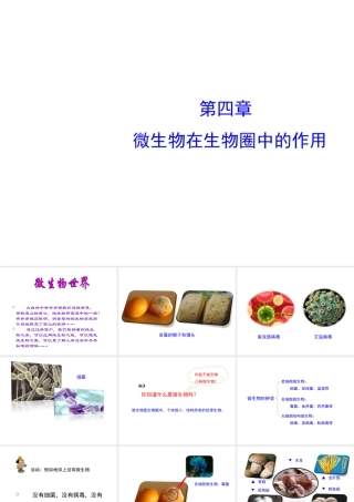 八年级生物上册 5.4 微生物在生物圈中的作用课件 （新版）冀教版-（新版）冀教版初中八年级上册生物课件