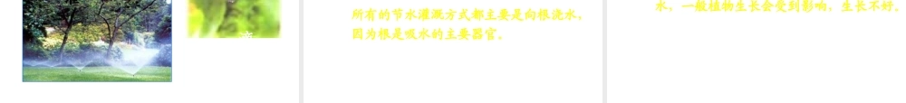 八年级生物上册 根对水分的吸收课件 冀教版