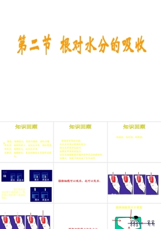 八年级生物上册 根对水分的吸收课件 冀教版