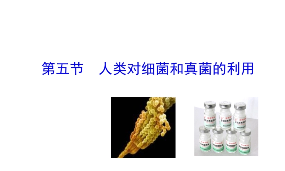 八年级生物上册 5.4.5 人类对细菌和真菌的利用课件 （新版）新人教版