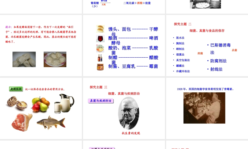 八年级生物上册 5.4.5 人类对细菌和真菌的利用课件 （新版）新人教版