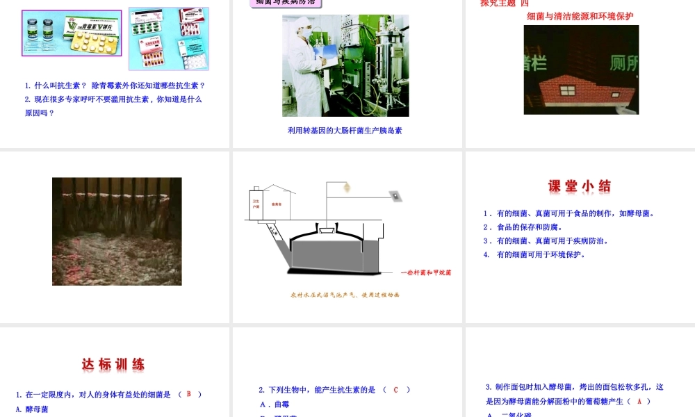八年级生物上册 5.4.5 人类对细菌和真菌的利用课件 （新版）新人教版