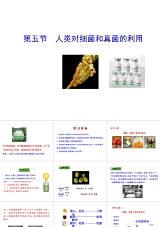 八年级生物上册 5.4.5 人类对细菌和真菌的利用课件 （新版）新人教版