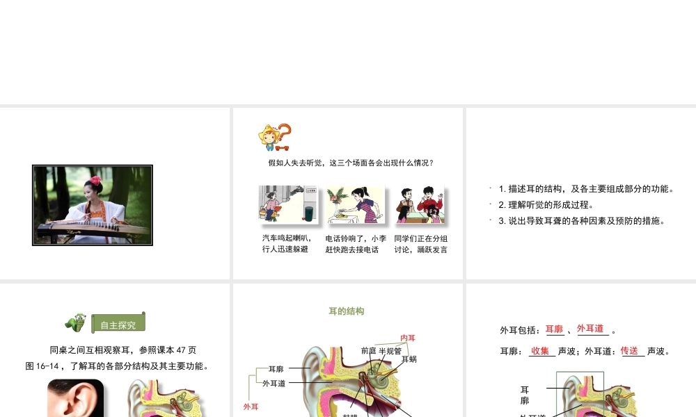 八年级生物上册 6.16.2《人体对信息的感知》第2课时课件1 （新版）苏科版-（新版）苏科版初中八年级上册生物课件
