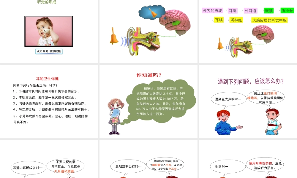 八年级生物上册 6.16.2《人体对信息的感知》第2课时课件1 （新版）苏科版-（新版）苏科版初中八年级上册生物课件