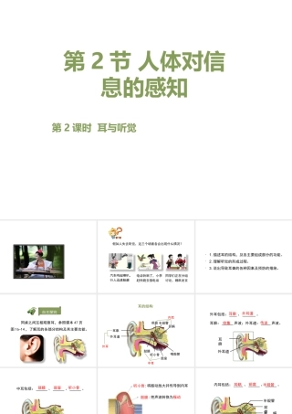 八年级生物上册 6.16.2《人体对信息的感知》第2课时课件1 （新版）苏科版-（新版）苏科版初中八年级上册生物课件
