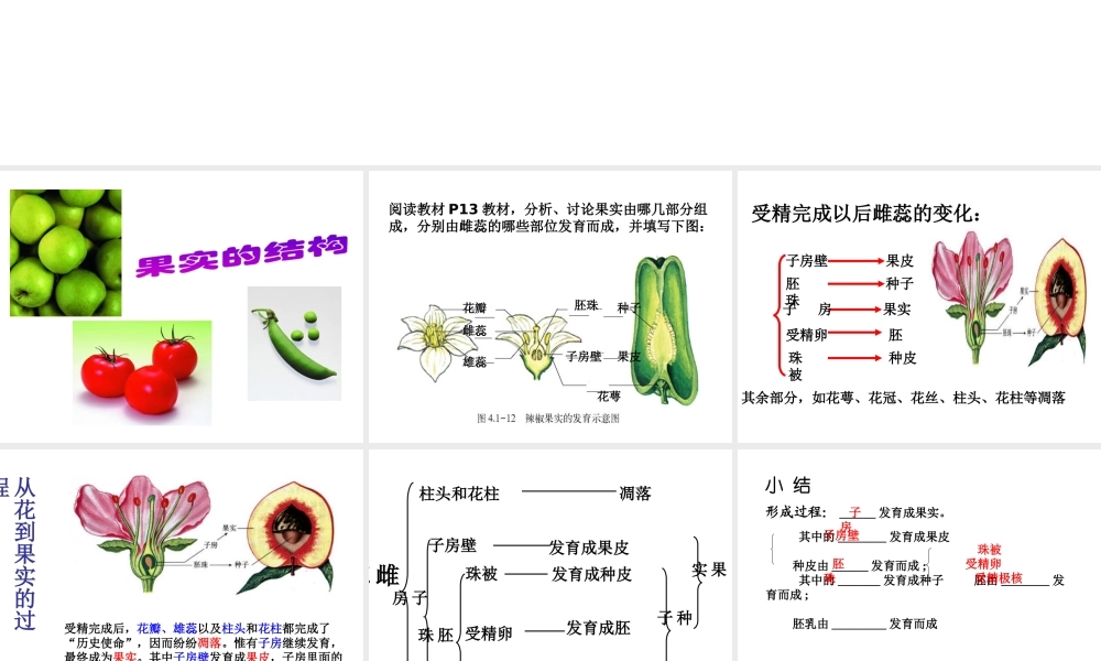 八年级生物上册 果实和种子的形成 济南版