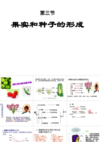 八年级生物上册 果实和种子的形成 济南版