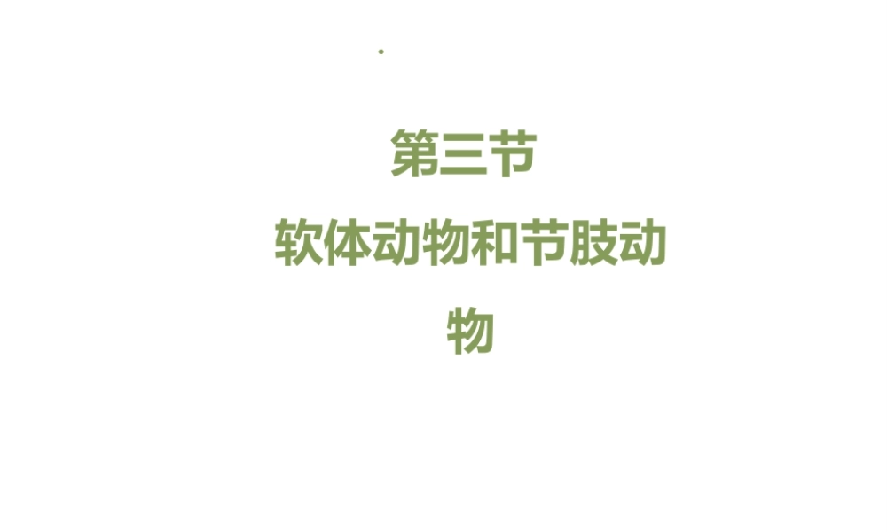 八年级生物上册 7.1.3《软体动物与节肢动物》（第2课时）课件 鲁科版五四制-鲁科级上册生物课件