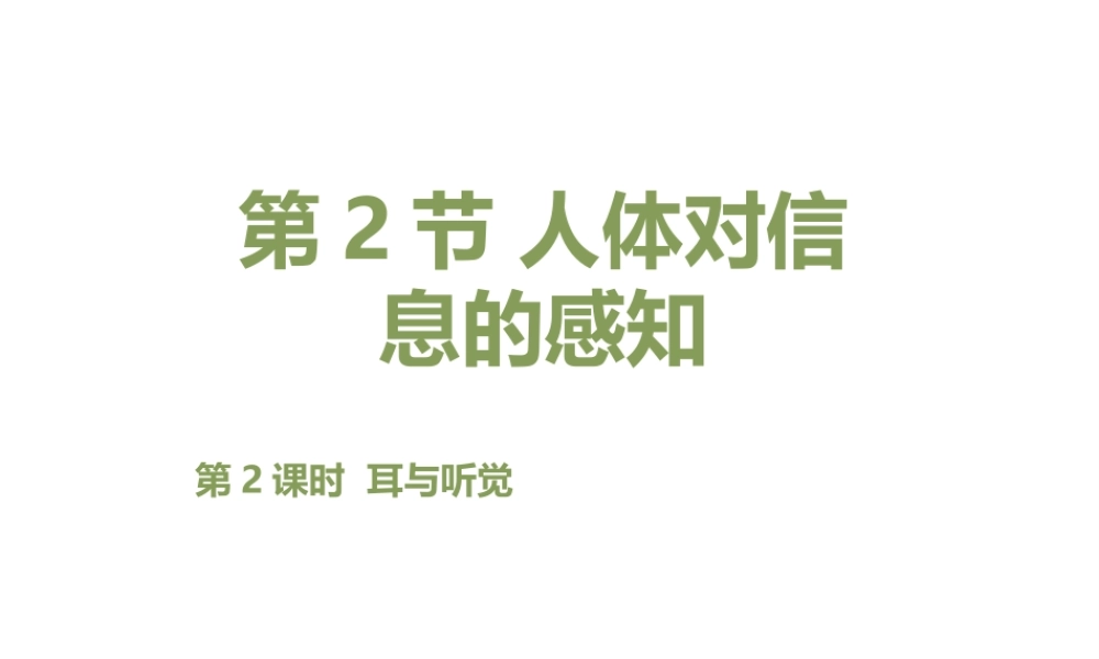 八年级生物上册 6.16.2《人体对信息的感知》第2课时课件1 （新版）苏科版-（新版）苏科级上册生物课件
