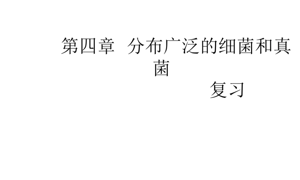 八年级生物上册 5.4 细菌和真菌复习课件 （新版）新人教版-（新版）新人教版初中八年级上册生物课件