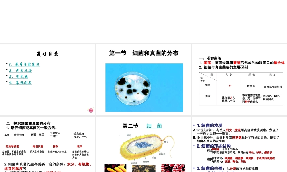 八年级生物上册 5.4 细菌和真菌复习课件 （新版）新人教版-（新版）新人教版初中八年级上册生物课件