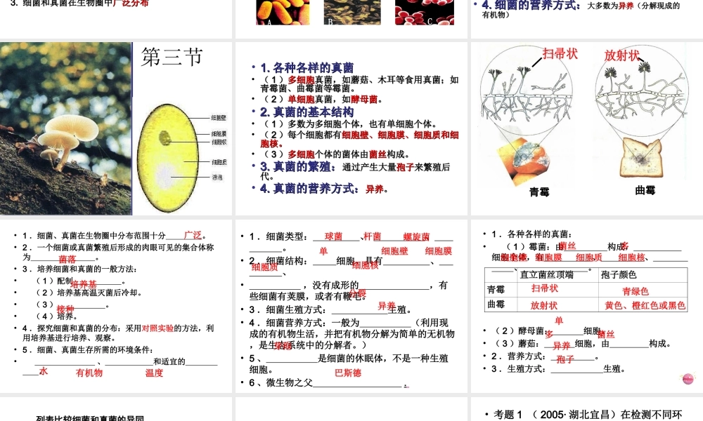 八年级生物上册 5.4 细菌和真菌复习课件 （新版）新人教版-（新版）新人教版初中八年级上册生物课件
