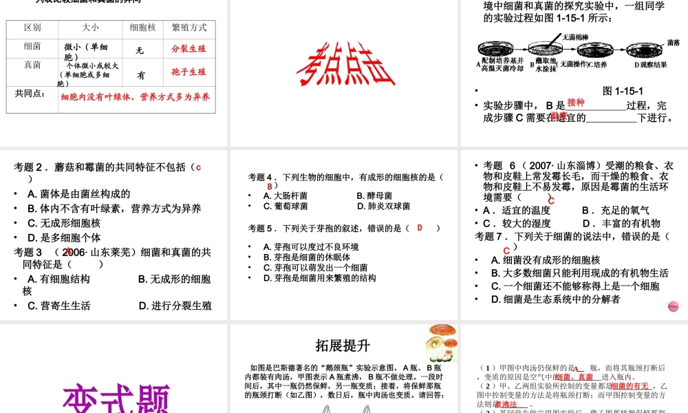 八年级生物上册 5.4 细菌和真菌复习课件 （新版）新人教版-（新版）新人教版初中八年级上册生物课件